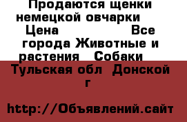 Продаются щенки немецкой овчарки!!! › Цена ­ 6000-8000 - Все города Животные и растения » Собаки   . Тульская обл.,Донской г.